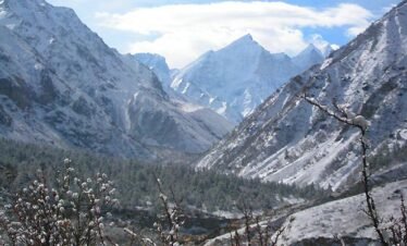 Gangotri Gaumukh Trek