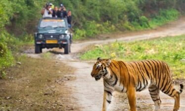 Corbett National Park Tour