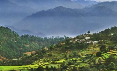 Corbett Ranikhet Honeymoon Tour